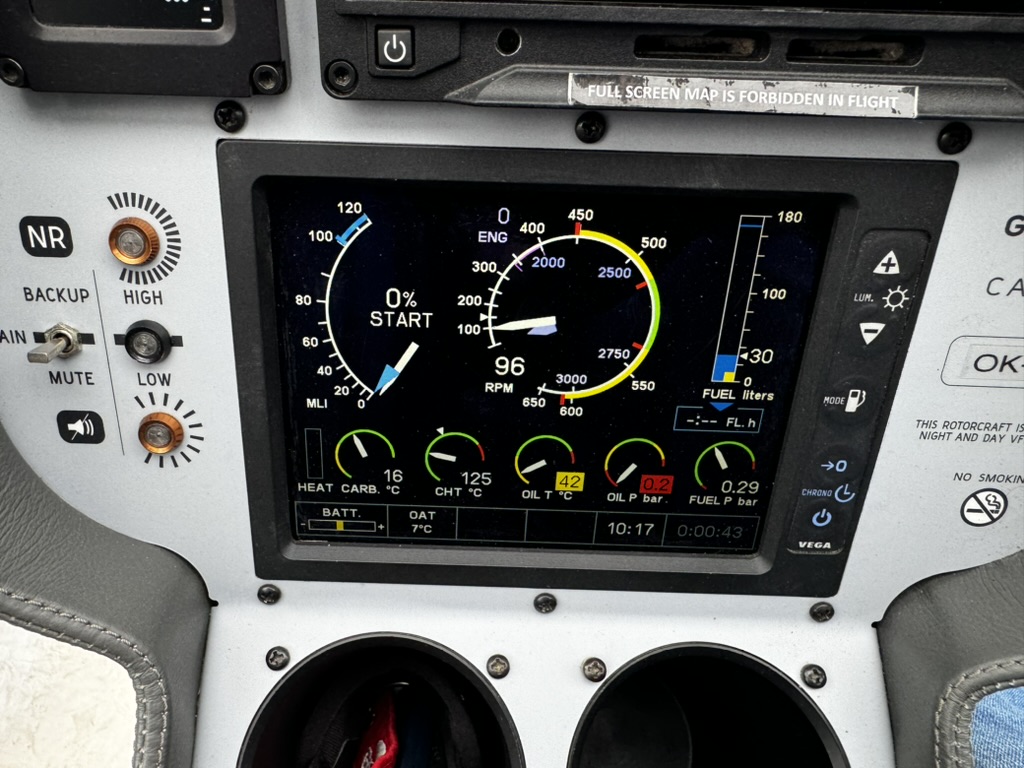 Electronic Pilot Monitor